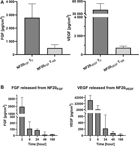 Figure 4 (A) Concentration of FGF and VEGF in NF20FGF and FN20VEGF after preparation (T0) and after one-week (T168). (B) Release of FGF and VEGF from coated NF20FGF and NF20VEGF into PBS. Measured by ELISA, (n=5) Mean ± SEM.
