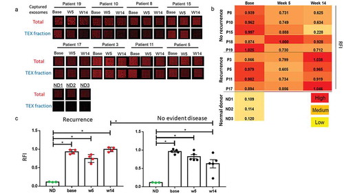Figure 1. Changes in protein concentrations of circulating exosomes for HNSCC patients prior to and during therapy. (a): A decrease in plasma exosome protein concentrations in plasma is seen between baseline and weeks 5 and 14 in patients who remained disease free, while an increase is evident for patients whose disease progressed. (b): Individual exosome protein levels are shown for patients who progressed (n = 5) and those who did not (n = 13). Only patients with recurrent disease showed an overall increase in exosome protein levels during therapy (p < 0.05). Exosome protein levels decreased in patients who did not progress at week 5 (p < 0.005) and remained low at week 14 (p < 0.05) relative to baseline values. At week 14, patients who recurred had significantly higher exosome protein levels in plasma than patients who did not recur (p < 0.05). *p < 0.05 or **p < 0.005. In A the data are presented as mean values with connecting lines and error bars. In (b and c) and Figure 3–6, the data are presented as boxplots.