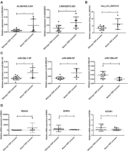 Figure 4 Differentially expressed lncRNA, circRNA, miRNA, and mRNA validation by qPCR. The expression of selected lncRNA (A), circRNA (B), miRNA (C), and mRNA (D) was detected in the validation cohort. (A) AL360169.3–201 and LINC02672-203. (B) hsa_circ_0021412. (C) hsa-miR-29b-1-5p and hsa-miR-4699-5p. (D) REG3A, SFRP5 and GSTM1. Statistical analysis was performed by Mann–Whitney test. P < 0.05 was considered to be statistically different. *P < 0.05.