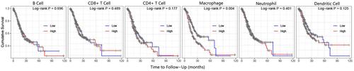 Figure 5 Prognosis analysis on immune cells in stomach adenocarcinoma.