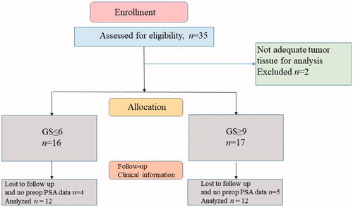 Figure 1. Selection of cases.