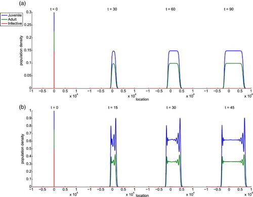 Figure 2. Simulations of System (Equation34(33) −v24D2+αcDf0sm(1−s)(1−s(1−m))−1>0.(33) ) when B∗ is stable. The blue, green, and red curves correspond to the juvenile, adult, and infected classes, respectively. In example (a) f0=3,s=0.4,γ=7, and B∗≈(0.1485,0.0990,0). In this case, there is no oscillation behind the wave front because the eigenvalues of the matrix MB defined in Proposition  4.4 are real valued: λ±≈0.6734,−0.2734. In example (b) f0=19,s=0.35,γ=7, and B∗≈(0.6169,0.3322,0). The oscillatory behaviour of the solution in the tail of the wave front occurs because two of the eigenvalues of MB defined in Proposition 4.4 are complex valued: λ±≈0.1750±0.9115i with |λ±|≈0.9282. Note that in both examples, c+∗>c−∗ so the right front spreads faster as expected from the definition of kcc(x) in Equation (Equation6(6) kc(x):=ac1ac2ac2−ac1eac1xx≤0,,eac2c2xx>0,(6) ).