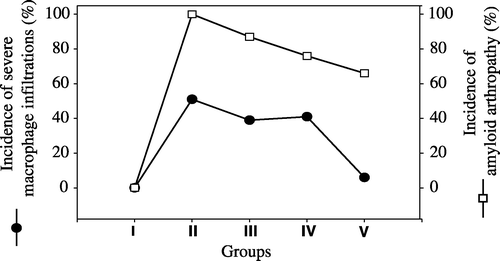 Figure 3. Occurrence of severe macrophage infiltrations (•) and amyloid arthropathy (□) in joints in five groups. I, negative control group; II, vitamin A group; III, positive control group; IV, pentoxyflline group; V, methylprednisolone group.
