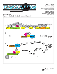 Cover image for Transcription, Volume 6, Issue 4, 2015