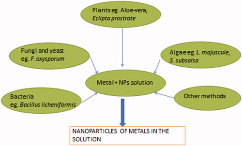 Figure 1. Components of nanoparticles synthesis.