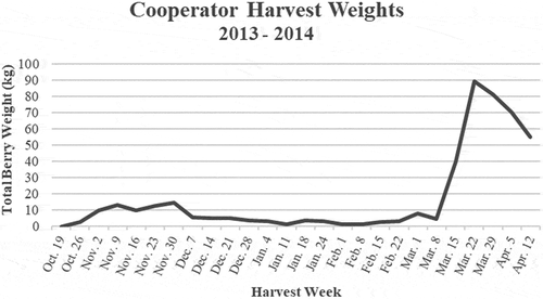 Figure 2. Total weekly marketable strawberry weight for all cultivars evaluated at the grower cooperator location. There were 1044 plants total in this experiment