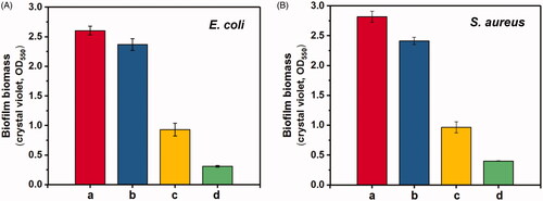 Figure 4. Biofilms of E. coli and S. aureus dispersion results treated with different formulations by crystal violet staining method (n = 3). (a: PBS control, b: 25 μg/mL blank β-CD-PAMAM, c: 25 μg/mL β-CD-PAMAM/NONOate, d: 50 μg/mL β-CD-PAMAM/NONOate).