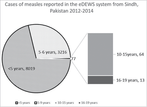 Figure 2. Electronic DEWS data from Sindh (southern Pakistan) show reported measles cases by age groups; 64 of 77 cases in the 10–19 y age group were seen in those aged 10–15 y. Only 4 cases were reported in those aged 20 and above (not included in chart).