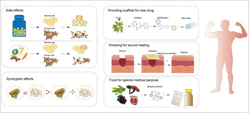 Figure 5. The advantages and potential applications of novel dietary agents.