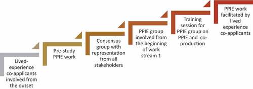 Figure 3. Practical components of the SPACES co-production model (steps taken).