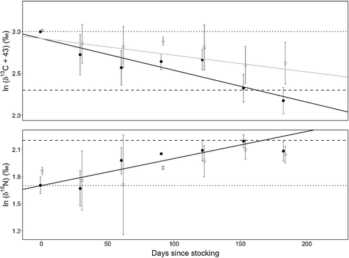 Figure 1. Isotopic turnover trends for δ13C and δ15N in RBT liver (black line, filled circles) and white muscle (gray line, open circles). Given that tissue type did not have a significant effect on δ15N, after controlling for time (ANCOVA: F(1,90) = 2.200, p = 0.142), only one solid black regression line is shown for N. Dotted and dashed lines represent δ values of hatchery food and ‘lake diet’, respectively. Error bars represent ± 1 SD.