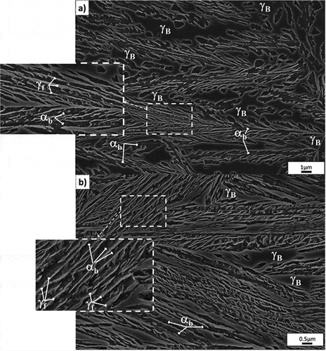 Figure 2. SEM micrographs showing examples of the bainitic microstructures of (a) 1B350, and (b) 1B220+, where bainitic ferrite (αb) and the two retained austenite morphologies, blocky (γB) type and thin films (γf) have been identified.