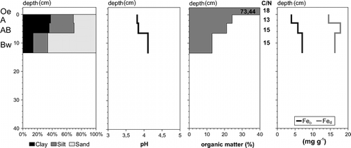 FIGURE 10. Soil texture, pH value (measured in 0.01 M CaCl2 dilution), organic matter content, and Fed and Feo content of profile 7