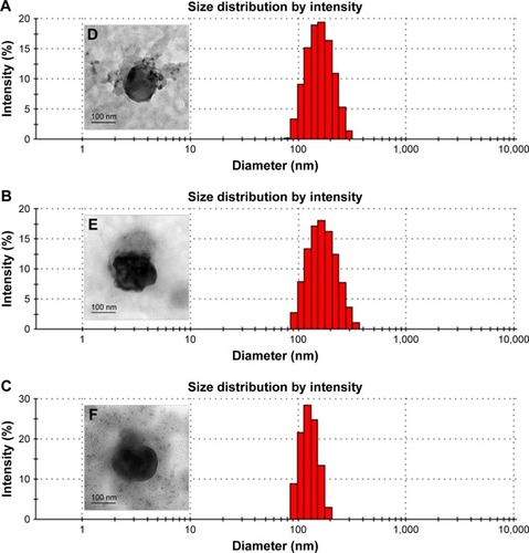 Figure 5 (A–C) Size distribution of Lip-Dox (A), cNGR-Lip-Dox (B), and cNGR-tiR9-Lip-Dox (C) by dynamic light-scattering analysis (average size 150 nm). (D–F) Transmission electron-microscopy images of Lip-Dox (D), cNGR-Lip-Dox (E), and cNGR-tiR9-Lip-Dox (F). (G) A dialysis approach was used to explore the in vitro release profile of drug from various liposomes in PBS (pH 7.4, n=3). Aliquots were removed at altered time points and drug analyzed using fluorophotometry (λex=485 nm, λem=590 nm). Values shown are mean ± SEM.Abbreviations: cNGR, cyclic asparagine–glycine–arginine; Dox, doxorubicin; Lip, liposomes; tiR9, tandem-insert nona-arginine.