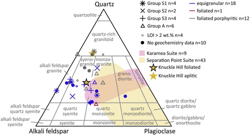 Figure 10. Quartz-alkali feldspar-plagioclase IUGS classification of granitoid clast petrography (Le Maitre Citation2004). Clasts are grouped based on the petrographic texture (indicated by colour, blue denotes equigranular, n = 16, red foliated, n = 1, and black foliated porphyritic, n = 10) and on the trace element geochemistry (symbol shape). Knuckle Hill data from this study, other basement data from Strong et al. (Citation2016).
