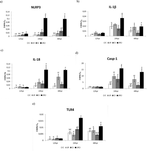Figure 1. Effect of probiotic L. reuteri B1/1 administration on relative expression level of (a) NLRP3, (b) IL-1β, (c) IL-18, (d) Casp-1, (e) TLR4 in the cecum of broiler chickens. Results at each time point are the median of 2–ΔCq. Means with different superscripts are significantly different abP < 0.05; acP < 0.01; adP < 0.001.