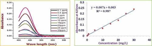 Figure 3. Absorbance and calibration curves of quercetin standard.