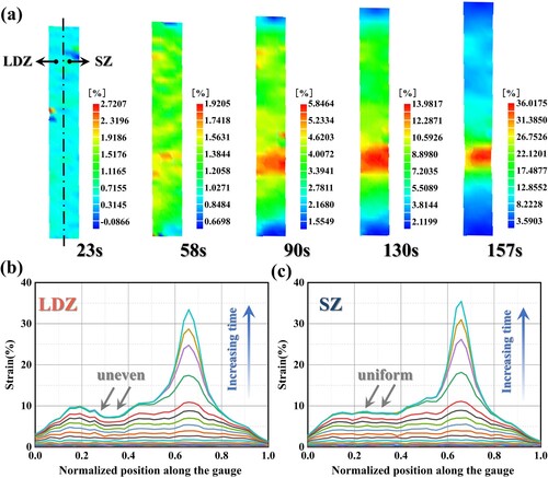 Figure 12. (a) DIC observations on deformation behaviours of the 990HT D + S-T sample over time. The results showing the strain evolution along a path aligned with the tensile direction over time in the (b) LDZ and (c) SZ.