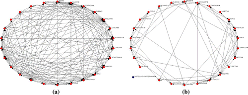 Figure 1. (a) Information and (b) knowledge network