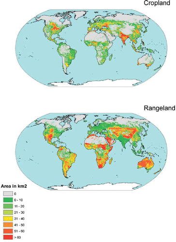 Figure 3. Combined 5 × 5 minute resolution global map of cropland (CROPmap6) and grassland (GRASSmap6). (Available in colour online)