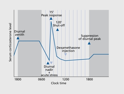 Figure 1. Algorithm for the assessment of basal and stressinduced LHPA activity and its sensitivity to glucocorth coid negative feedback in the rat. The curve depicts the course of changes in serum corticosterone levels. Shaded areas indicate diurnal dark phases; bold and light symbols denote time points of blood sample collection and experimental interventions, respectively. LHPA, limbic-hypothalamic-pituitary-adrenal