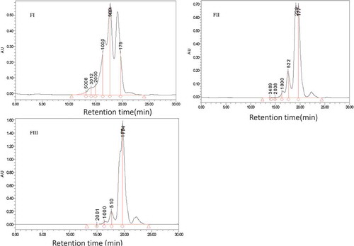 Figure 3. Chromatograms fractions obtain by HPLC with column TSKgel 2000 SWXL 300 mm×7.8mm elute by acetonitrile/water/trichloroacetic acid (TCA), 45/55/0.1 (V/V) show three pattern from fraction I, II and III in with fraction II were corresponding to the target peptide with retaining time 17.557 and 19.656 min.