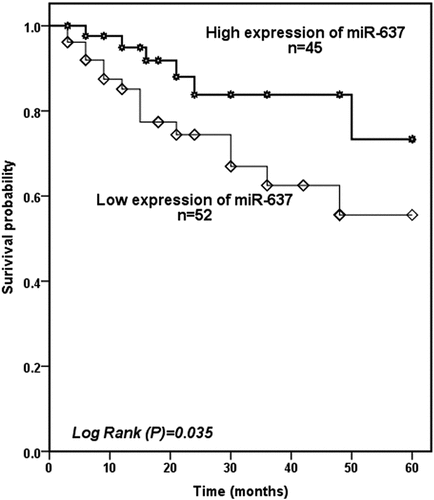 Figure 3. Kaplan-Meier curve was used to evaluate the predictive value of serum miR-637 for cerebral ischemia events. It was found that patients with lower miR-637 levels developed more ischemic events (log-rank P = 0.035)