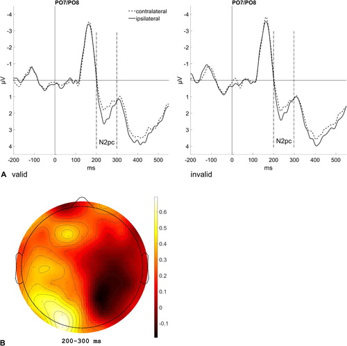 Figure 10. (A) Event-related potentials (ERPs) elicited in the visual search task in valid trials (left panel) and invalid trials (right panel) at the electrode sites PO7 and PO8 contralateral (dashed lines) and ipsilateral (solid lines) to the target bar. Data are averaged across the steps of the nonsignificant variables (ISI and Block). The N2pc can be seen between 200 und 300 ms after target onset. (B) Scalp distribution map showing the difference in brain activity for a target at the left versus right side.