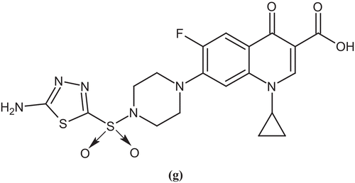 Figure 6.  Ciprofloxacin derivative (g).