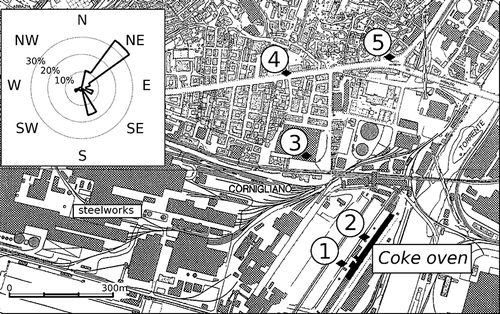 Figure 1. Map of the Cornigliano district with industrial and residential buildings. In black rectangle, the location of the coke oven plant. Numbers indicate the sampling sites used to monitor PAH concentrations inside the industrial area (sites 1 and 2), inside the urban area (sites 3 and 4), and along the sidewalk of the thoroughfare crossing the district (site 5). Insert shows the wind directions and frequencies of prevailing winds, registered in the meteorological station in 1998; calms (wind speed ≤ 0.5 m/s) accounted for 6.3% of the total hourly data.