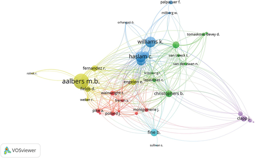 Figure 2. VOSviewer graph: authors.