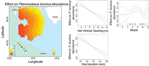 Figure 5. Generalized additive model-derived effects of covariates used to model the abundance (log2[CPUE + 1]) of Bull Rays in the north-central Adriatic Sea during 2006–2013. In the bivariate predictor map, the solid line is the estimate of the smooth function, and the black dots indicate haul locations. In the univariate predictor plots, the solid line is the estimate of the smooth function, the dashed lines indicate 95% confidence bands, and the “rug” or bars on the x-axis show the relative density of data points.