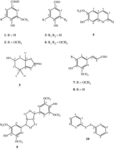 Figure 1. Chemical structures of the compounds isolated from I. megalophylla.