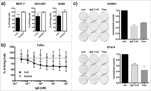 Figure 6. Inhibition of ligand-dependent and ligand-independent proliferation. (a) Inhibition of proliferation of MCF-7, NCI-N87, and A549 cells incubated for one week under low (0.2%) serum concentrations in the presence of 10 ng/ml heregulin and either IgG 3–43 (3–43) or rituximab (Control) as a negative control antibody. (b) Inhibition of proliferation of FaDu cells without the addition of heregulin under the same conditions as in (a). (c) Colony formation assay. SKBR3 or BT474 were grown in 12-well plates (1,000 cells per well) and incubated with IgG 3–43 (50 nM) or trastuzumab (Tras.) for 12 d. Medium and antibodies were exchanged after 7 d. Cells incubated without antibody were included as a control (con). Shown are crystal violet-stained wells and the quantification of 2 independent experiments performed with triplicate wells.