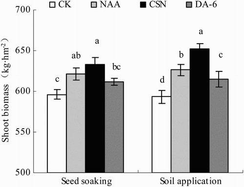 Figure 3. Shoot biomass of drip-irrigated rice as affected by three PGRs and two PGR application methods. Error bars represent SE (n = 3). Different letters within an application method indicate significant differences at p < .05 according to Duncan’s multiple range test. The PGR concentrations were 0.01 mg L−1 NAA, 5 mg L−1 CSN, and 0.5 mg L−1 DA-6 in the seed-soaking treatment and 0.1 mg L−1 NAA, 50 mg L−1 CSN, and 5 mg L−1 DA-6 in the soil application treatment; CK, fresh water.