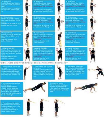 Figure 1 The FIFA 11+ shoulder injury prevention program.