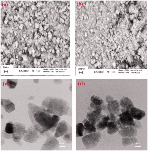 Figure 2. SEM images of the ZnO samples prepared in (a) water and (b) aqueous solution of the extract. TEM images of the ZnO samples prepared in (c) water and (d) aqueous solution of the extract.