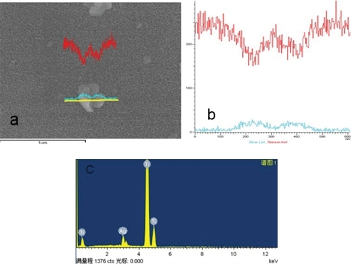 Figure 3 Line scanning of EDS image of the particle on the Ti-nAg surface.Notes: The green line stands for Ag and the red line stands for titanium.Abbreviations: EDS, energy-dispersive spectroscopy; Ti-nAg, silver nanoparticle-modified titanium.