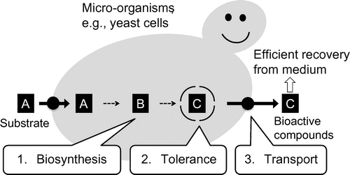 Fig. 1. Uses of tolerance and transport proteins for efficient production of valuable compounds in micro-organisms.