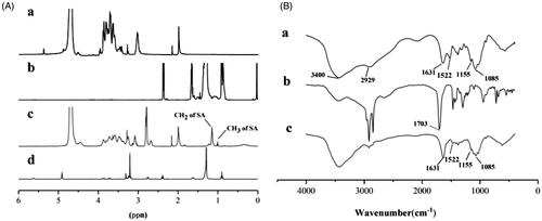 Figure 3. (A) 1H NMR spectra of CS (a), SA (b), CS-SA (c), and LC-SA (d); (B) FT-IR spectra of CS (a), SA (b), and CS-SA (c).