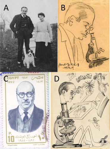 Figure 2. Some portraits of the founder of Bee World, Dr. Ahmed Zaki Abushâdy. (A) Zaky and Annie Abushâdy (ca. 1921), (B) Sketch of Abushâdy by Austrian Paul Beer (1929), (C) Egyptian stamp from 1992, (D) Caricature of Abushâdy (1928), by the Persian Alexandrian artist Mohamed Fridon (A, B, D: Courtesy of the Abushâdy Archive).