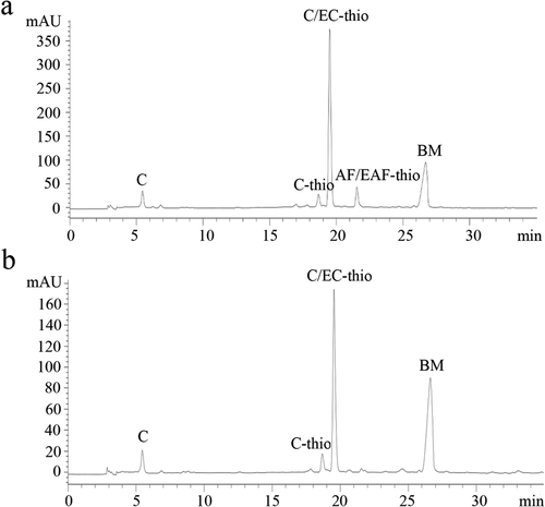 Figure 1. Reversed-phase HPLC-ESI-MS of proanthocyanidins (PAs) extracted from leaves (a) and branches (b) in Cinnamomum camphora. C: catechin; C-thio: catechin benzylthioether; C/EC-thio: catechin/epicatechin benzylthioether; AF/EAF: afzelechin/epiafzelechin; BM: benzyl mercaptan