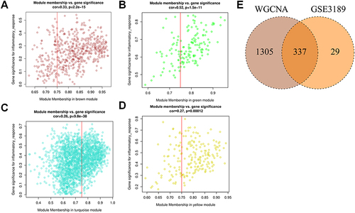 Figure 4 Screening of WGCNA key module genes. (A-D) Correlation scatter plots of GS and MM in MEbrown module, MEgreen module, MEturquoise module and MEyellow module. (E) The intersection gene of WGCNA key genes and co-DEGs.