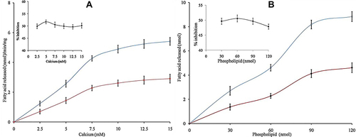 Figure 5 (A) Effect of calcium concentration on sPLA2IIa inhibition: Estimated sPLA2IIa activity alone (blue line) and with IC50 concentration of corosolic acid (red line) with indicated concentrations of calcium. The data are given in mean ± standard deviation (n=3). (B) Effect of substrate concentration on inhibition: Estimated sPLA2IIa activity alone (blue line) and with IC50 concentration of corosolic acid (red line) via increasing the substrate concentration from 30 to 120 nM. The data expressed as mean ± standard deviation (n=3).