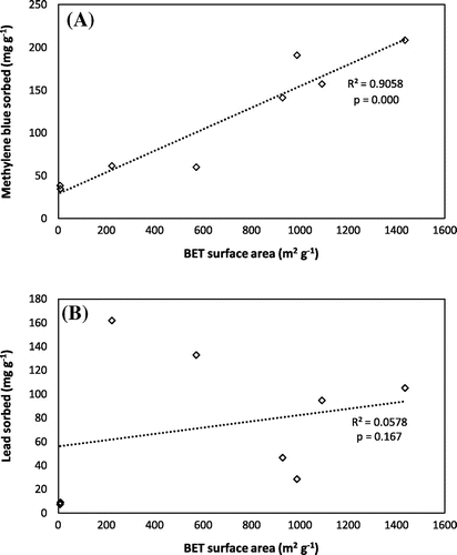 Figure 6. Relationship between surface area and amount of contaminant sorbed by raw HC and AHCs. (A) methylene blue and (B) lead.