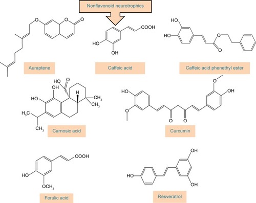 Figure 3 Chemical structures of polyphenols with neurotrophic activity that do not belong to the group of flavonoids.