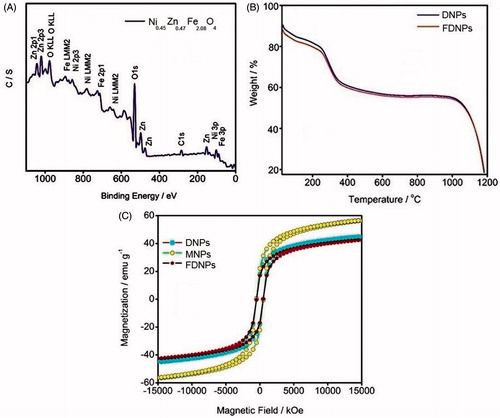 Figure 2. (A) X-ray photoelectron spectra of MNPs. (B) Thermogravimetric curves of DNPs and FDNPs. (C) Magnetization curves of DNPs, MNPs and FDNPs.