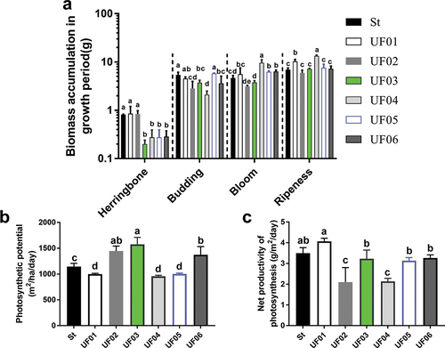 Figure 3. Growth situation for different verities in 2020. (a) Biomass accumulation in growth period. (b) Photosynthetic potential. (c) Net productivity of photosynthesis.