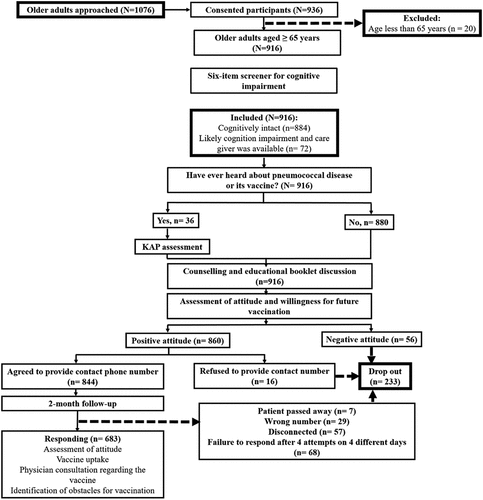 Figure 1. Flowchart of participant enrollment, data collection, educational interview, and follow-up. KAP; knowledge, attitude, and practice