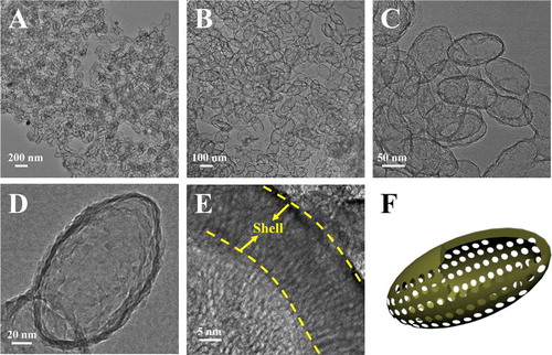 Figure 3. (A–E) TEM images of HEMSNs at different magnifications. (F) A schematic illustration of the hollow ellipsoidal nanoparticle with typical shell and inner void.